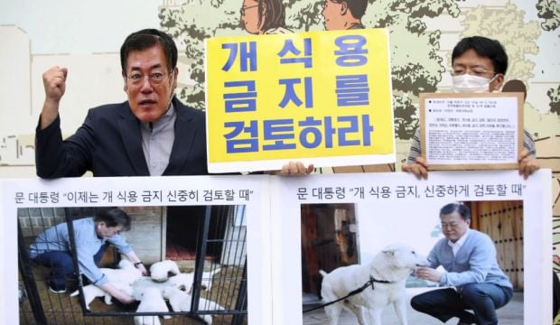 Campaigners Welcome South Korean President’s Move On Dog Meat Consumption