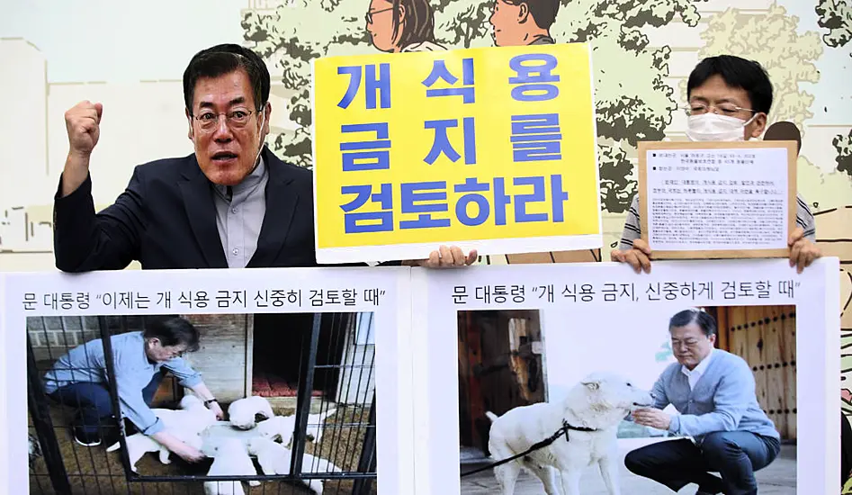 Campaigners Welcome South Korean President’s Move On Dog Meat Consumption