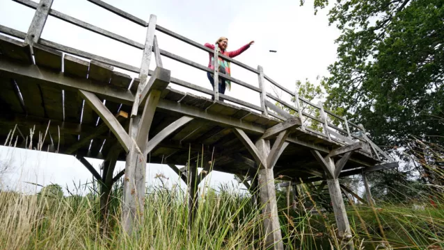 Bridge That Inspired Winnie The Pooh Author Expected To Sell For Up To €70,000