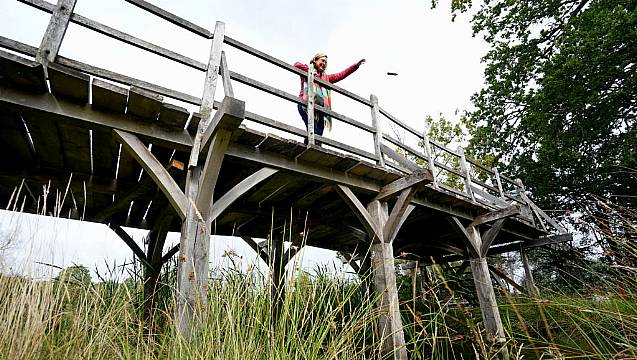 Bridge That Inspired Winnie The Pooh Author Expected To Sell For Up To €70,000