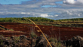 Court Refuses Firm's Attempt To Lift Injunction On Peat Extraction