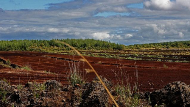 Ireland Tries To Water Down Eu Nature Law, Document Reveals