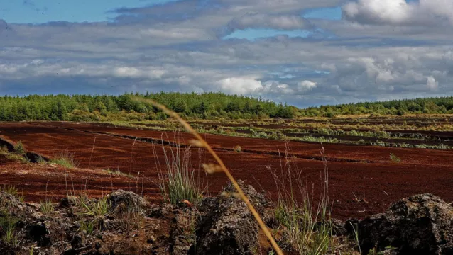 Court Refuses Firm's Attempt To Lift Injunction On Peat Extraction