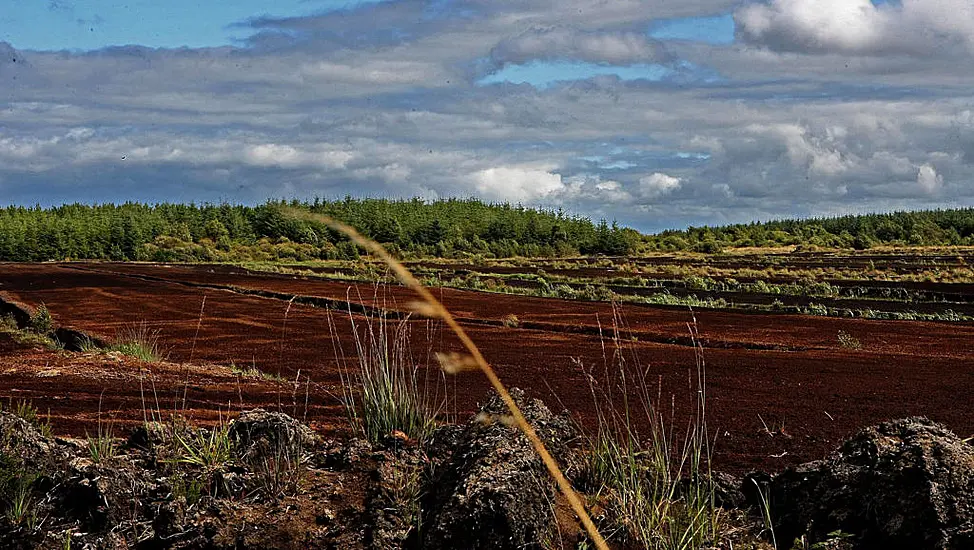 Delay To Much-Awaited Report On Peat Alternatives ‘Very Concerning’, Says Sinn Féin Td