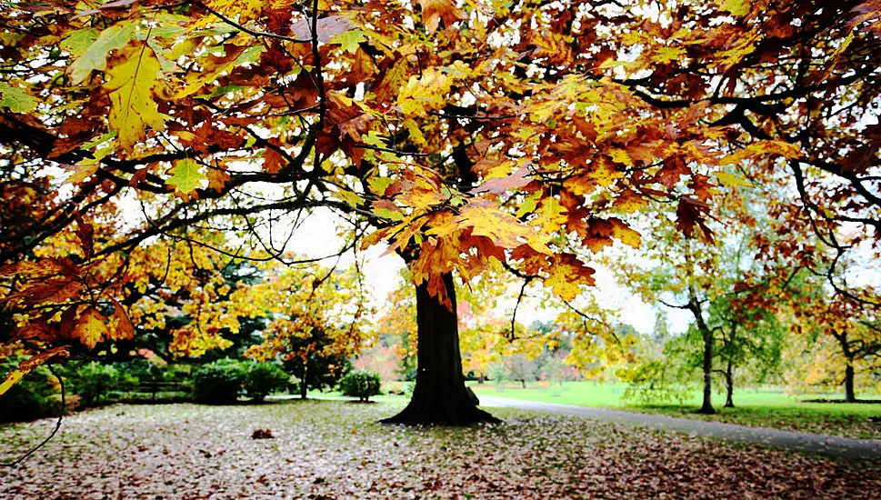 Tropical Airmass To Bring ‘Unseasonably’ Warm Weather To Ireland, Met Éireann Says