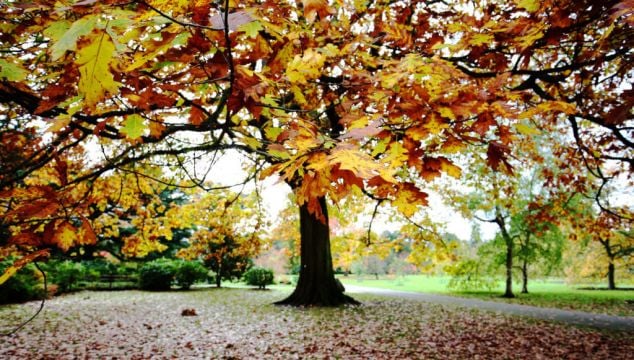 Tropical Airmass To Bring ‘Unseasonably’ Warm Weather To Ireland, Met Éireann Says