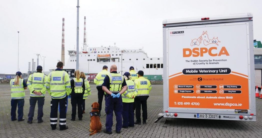 Dspca Supporting Efforts To Clamp Down On Illegal Movement Of Animals Through Dublin Port