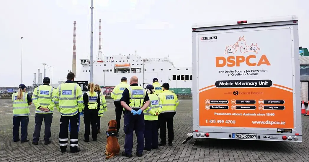 Dspca Supporting Efforts To Clamp Down On Illegal Movement Of Animals Through Dublin Port