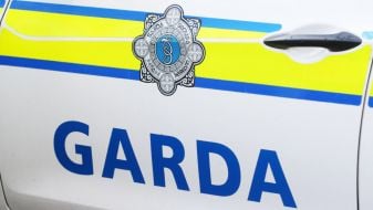 Gardaí Use Stinger Device To Stop Car Which Fled Checkpoint And Smashed Into Cars