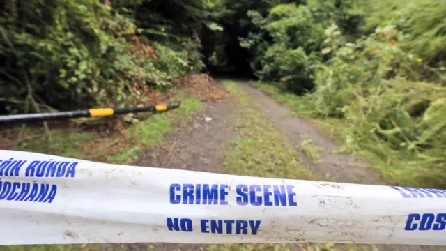 Murder Trial Told Of Decapitated Body Found In Kildare Woods