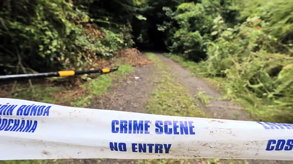 Murder Trial Told Of Decapitated Body Found In Kildare Woods