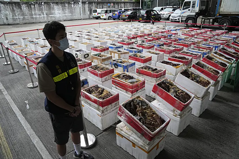 Australian Lobsters Worth £393,000 Seized By Hong Kong Authorities