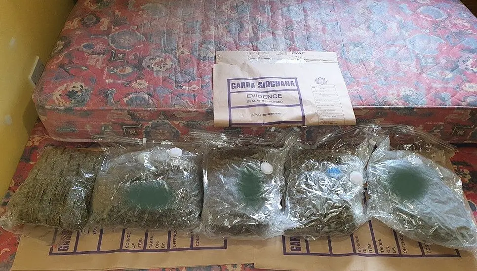 Man Arrested In Meath After Cannabis Seizure Worth €114,000