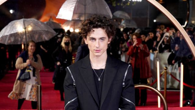 Timothee Chalamet On The Pressures Of Being A Young Hollywood Star