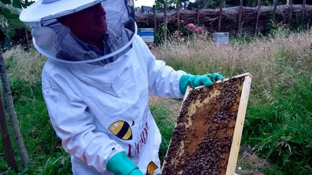 French Beekeepers Expect Worst Harvest In Decades Due To Climate Change