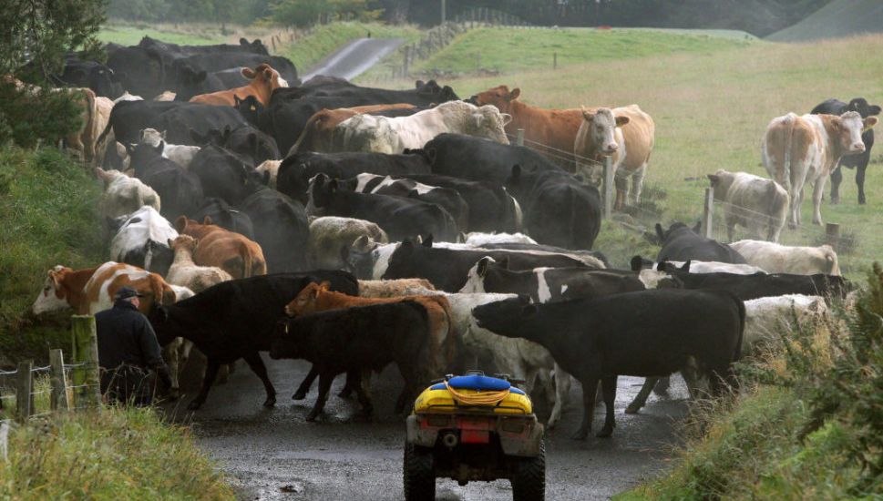 Irish Farmers 'Listening With Trepidation' To Speeches From Cop26