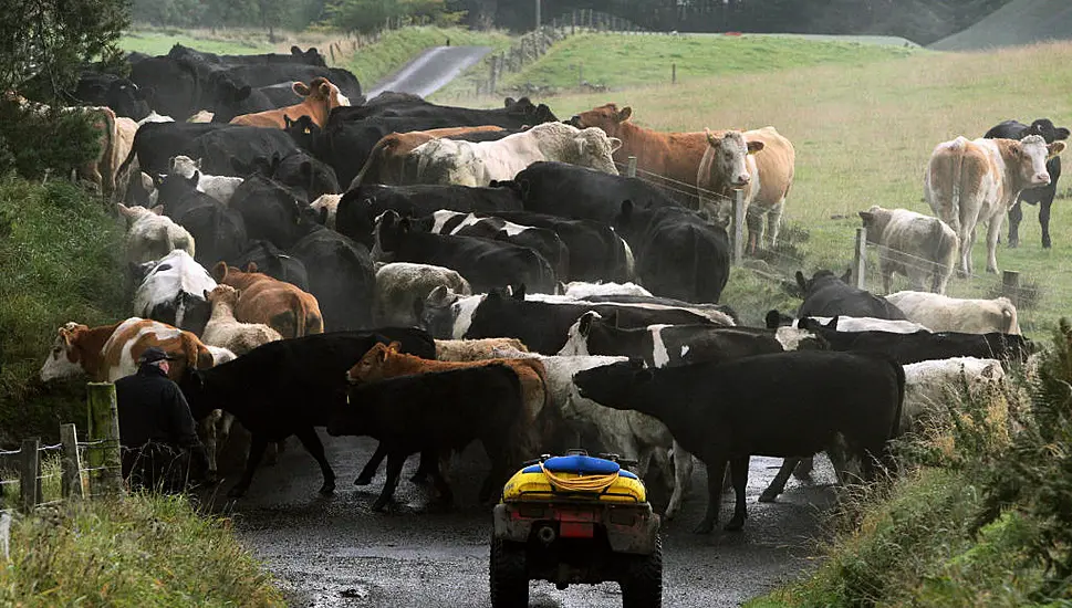 Irish Farmers 'Listening With Trepidation' To Speeches From Cop26