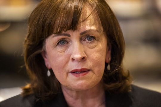 Unionists Clash With Irish Senators Over Protocol During Stormont Visit