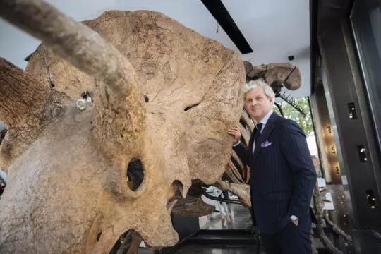 World’s Biggest Triceratops Skeleton Sells For £5.5M In Paris