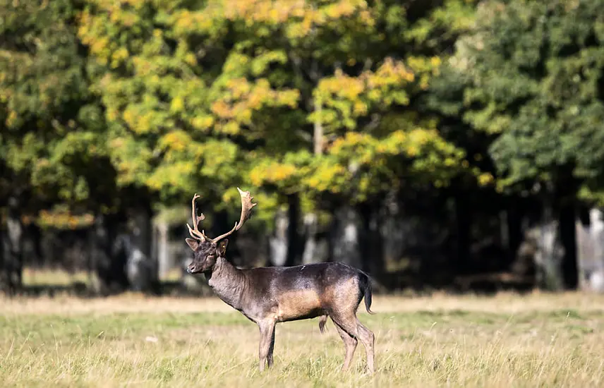 Magazine Fort In Dublin's Phoenix Park To Become Visitor Attraction