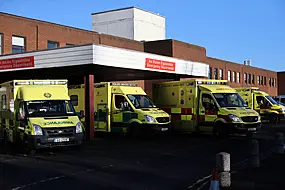 Woman (70S) Injured Following Attack By Dog In Dublin