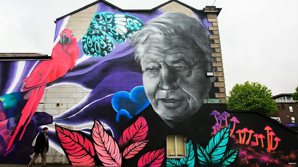 Mural Street Art Faces Legal Battle With Dublin City Council