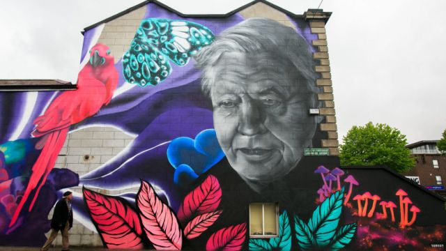 Mural Street Art Faces Legal Battle With Dublin City Council