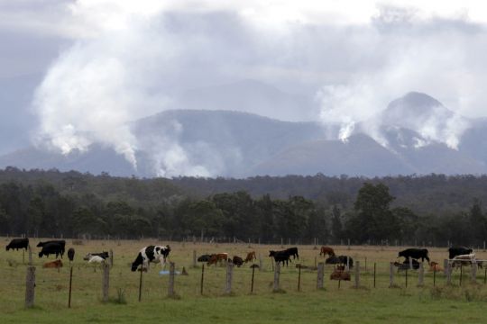 Australian Government Rules Out Pledging To Meet Methane Reduction Target