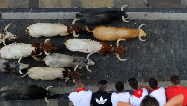 Man Dies After Being Gored At Spanish Bull-Running Festival