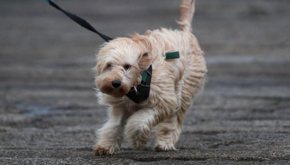 Met Éireann Issues Wind Warnings For Munster, Galway And Mayo