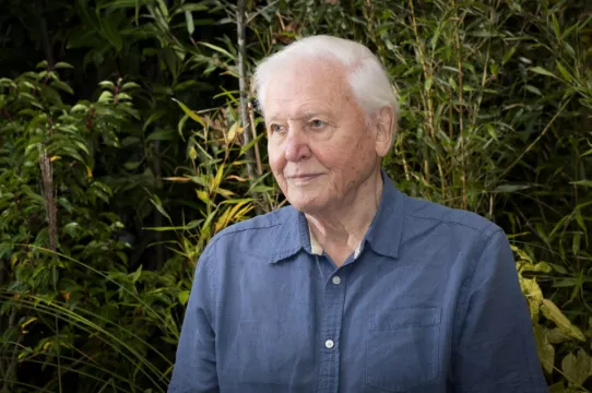 David Attenborough’s New Series Green Planet Premieres In Glasgow Amid Cop26