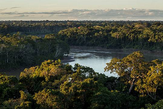 More Than 100 Countries Sign Up To Target To Protect Forests By 2030