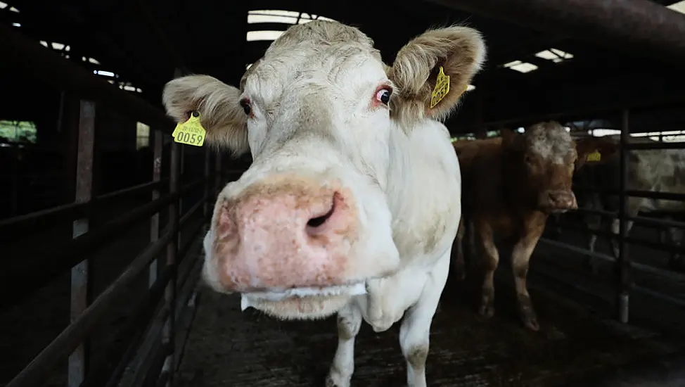 Farmers Lack Leadership In ‘Toxic’ Climate Debate, Committee Hears