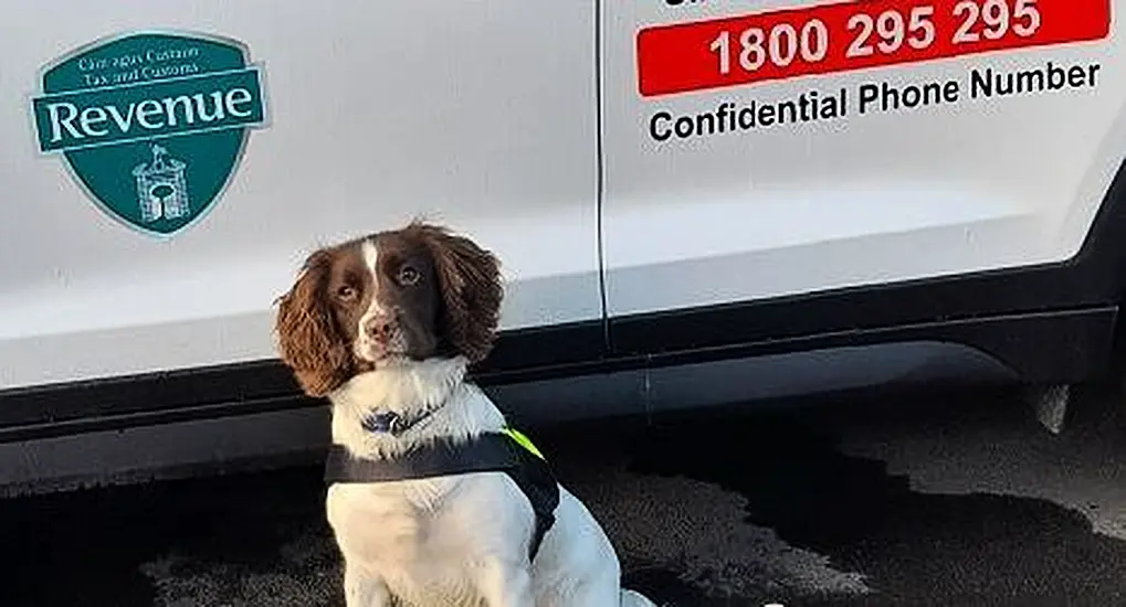 Revenue Seize Cannabis Worth €400,000 At Dublin Port