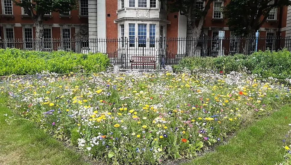 Green Flag Awarded To 11 Parks In Dublin City