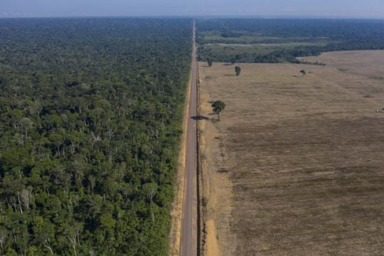 Brazil’s Amazon Deforestation Surges To Worst In 15 Years
