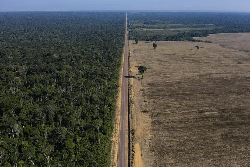 Brazil’s Amazon Deforestation Surges To Worst In 15 Years