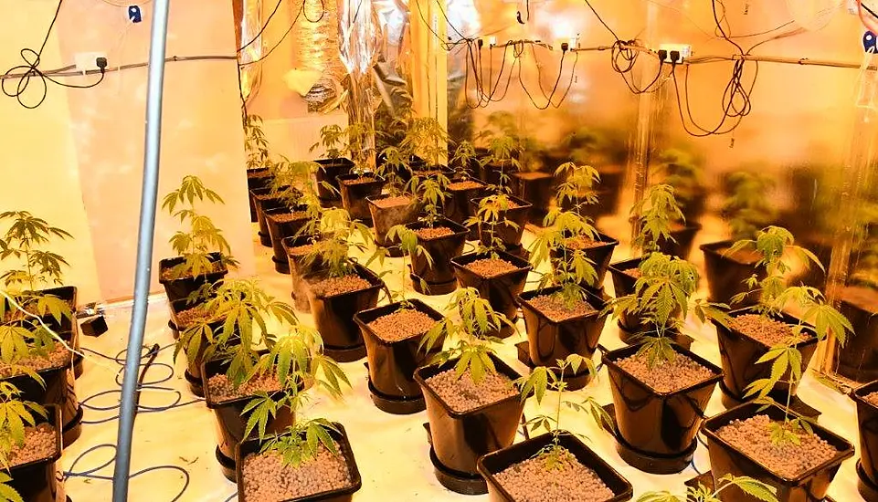 Four Men Arrested As €200,000 Worth Of Cannabis Seized In Sligo