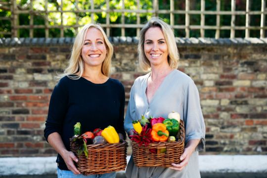 New App Aims To Combat Food Waste In Ireland