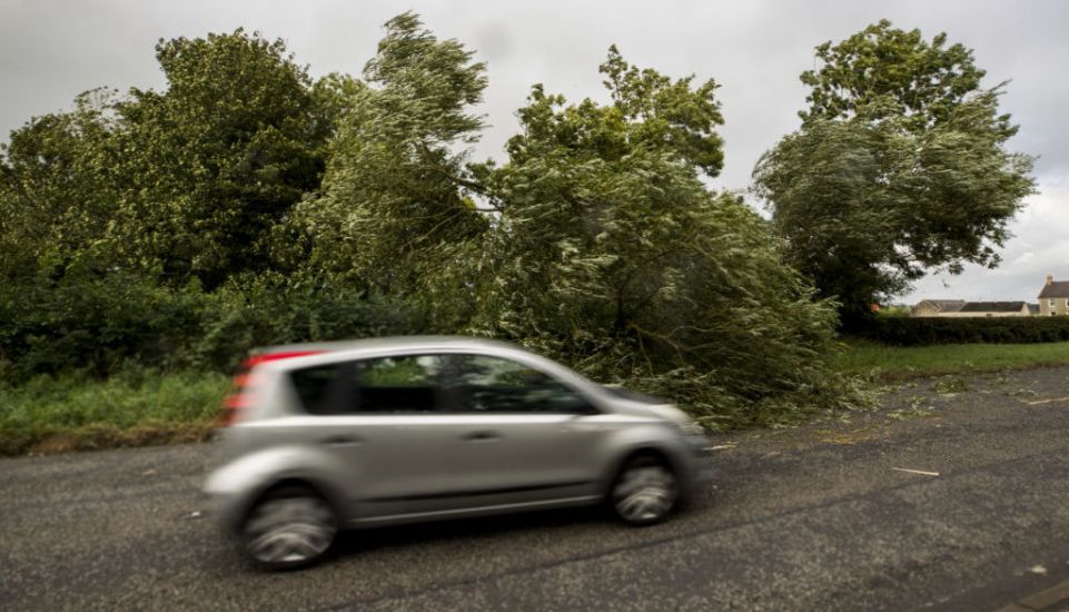 Man Dies After Car Hit By Falling Tree