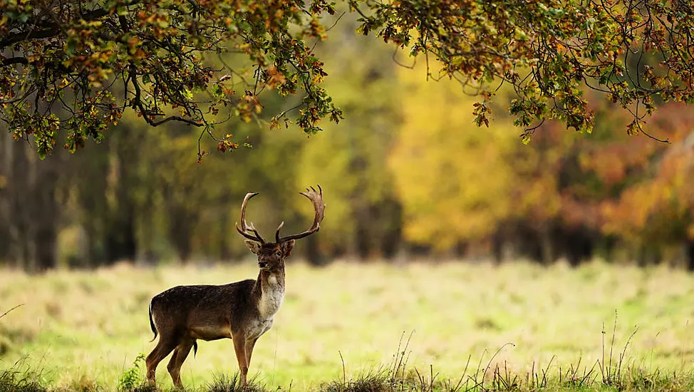 Unusual October Warm Spell Could See Heat Records Broken This Weekend