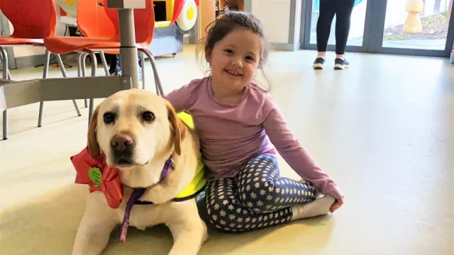 Therapy Dog Who Was 'Friendly Presence' For Children At Limerick Hospital Retires