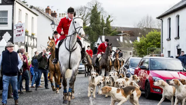 Stormont Assembly To Debate Ban On Hunting With Dogs In Northern Ireland