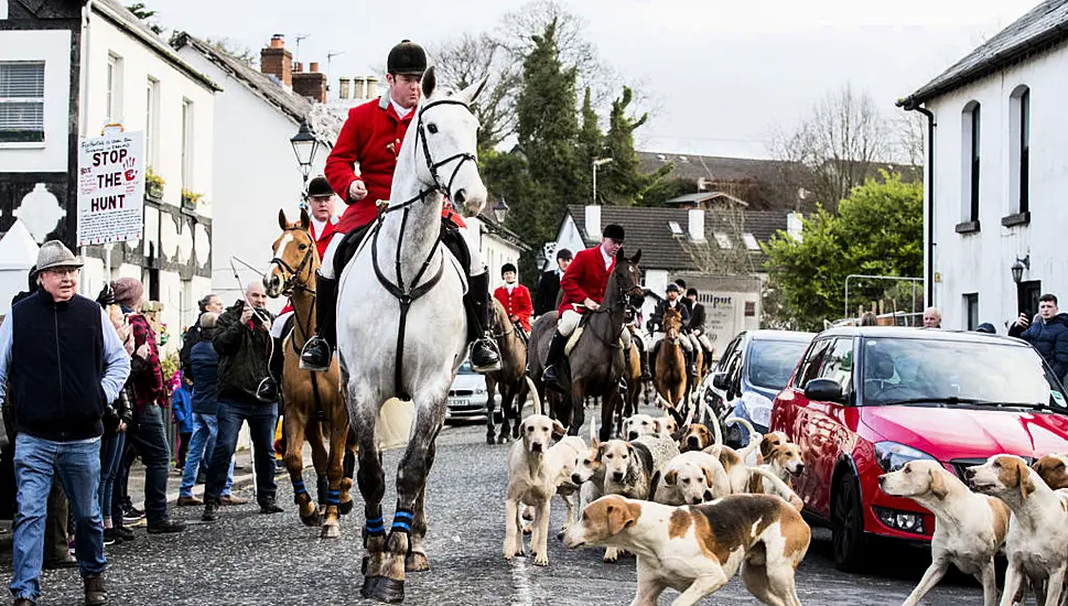 Stormont Assembly To Debate Ban On Hunting With Dogs In Northern Ireland