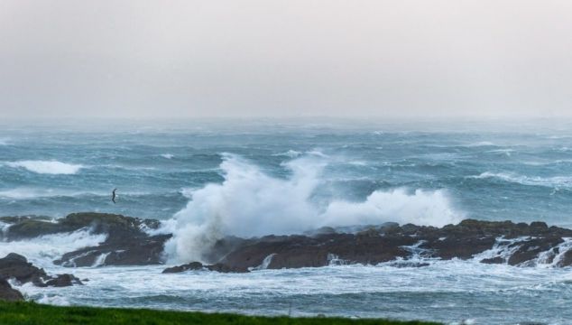 Yellow Wind Warning Issued For Three Counties