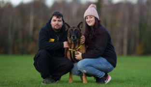 Irish Couple Move Home To Adopt Dog