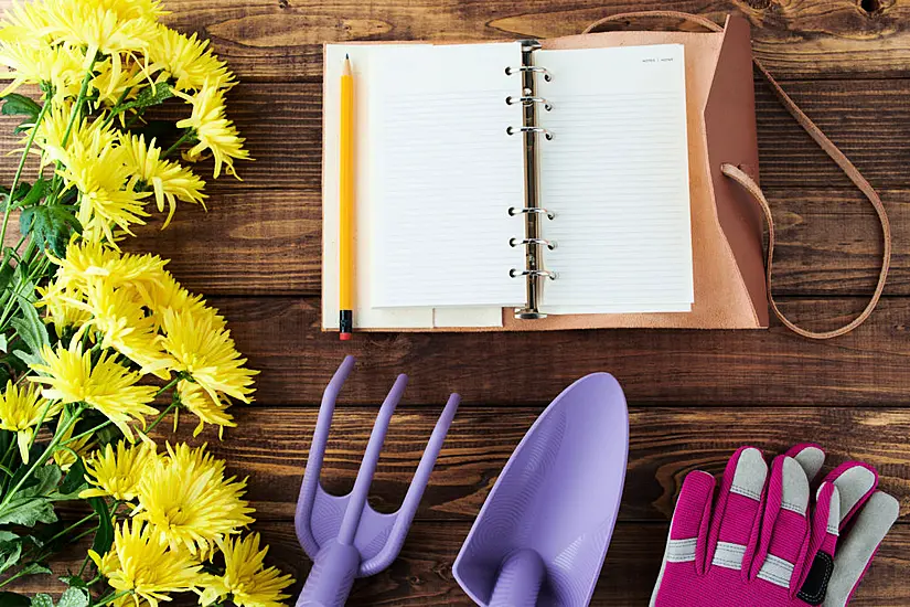 2022 Plants Calendar: Help Your Garden Bloom All Year Round