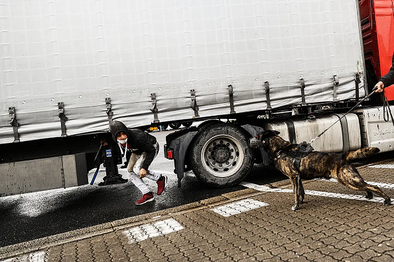 A Security Dog Detects Migrants Hidden Under A Lorry Headed To Ireland, At The Port Of Cherbourg. Photo:  Sameer Al-Doumy/ Afp Via Getty Images