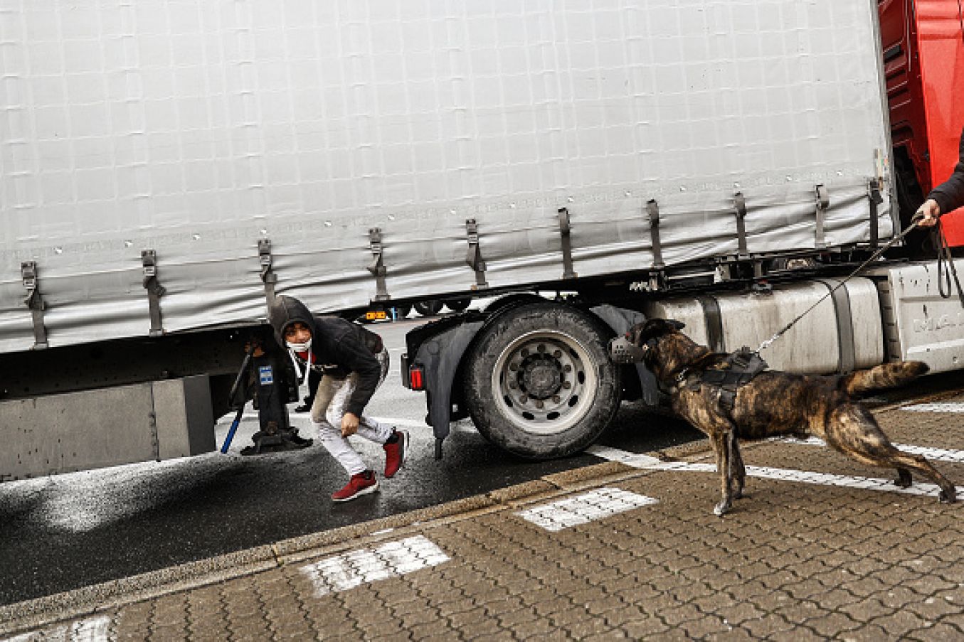 A Security Dog Detects Migrants Hidden Under A Lorry Headed To Ireland, At The Port Of Cherbourg. Photo:  Sameer Al-Doumy/ Afp Via Getty Images