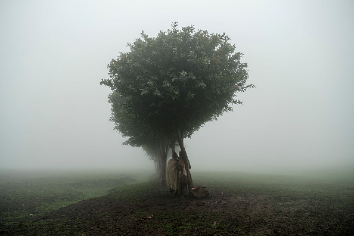 Children Stand Under A Tree On The Site Of A Future Camp For Eritrean Refugees, In A Rural Area Near The Village Of Dabat,, Ethiopia. Photo:  Eduardo Soteras/Afp Via Getty Images